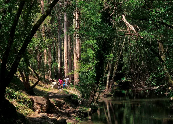 فندق Convento Da